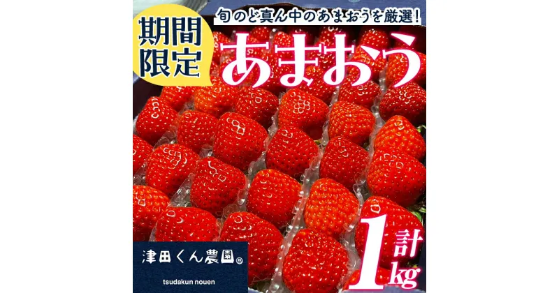 【ふるさと納税】＜先行予約受付中！2025年1月上旬から2025年3月中旬にかけて順次発送予定＞福岡県産いちご 津田くん農園のあまおう(計約1kg) 苺 いちご イチゴ フルーツ 果物 くだもの 数量限定 期間限定＜離島配送不可＞【ksg1323】【くしだ企画】