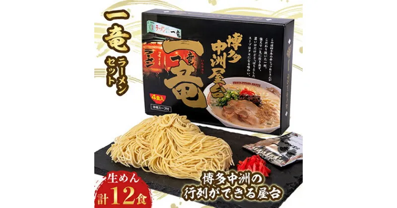 【ふるさと納税】一竜ラーメンセット 3箱(12食分)【1029831】