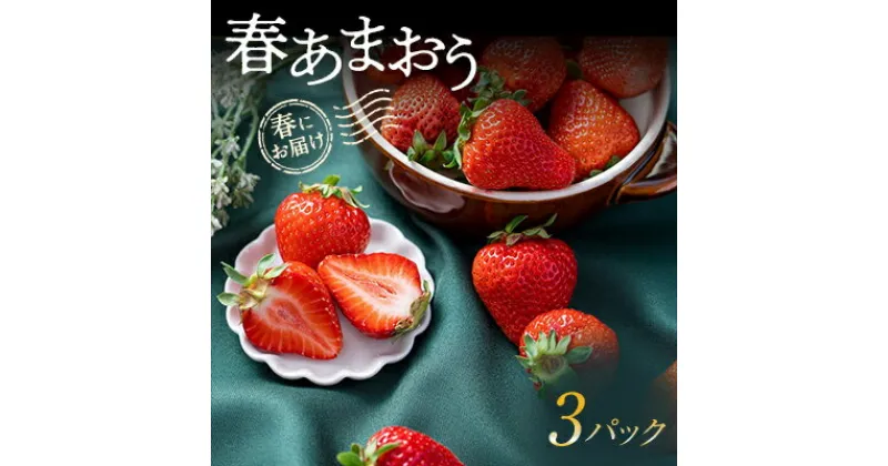 【ふるさと納税】春にお届け!福岡産はるあまおう3パック_ あまおう いちご 苺 イチゴ フルーツ 果物 くだもの ふるーつ 旬 人気 国産 産直 産地直送 冷蔵 ギフト プレゼント 贈り物 送料無料 【配送不可地域：離島】【1333571】