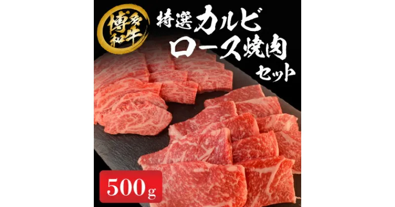 【ふるさと納税】《博多和牛》特選カルビ・ロース焼肉セット500g【配送不可地域：離島】【1355749】