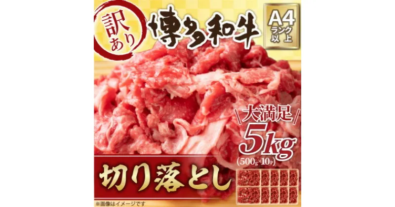 【ふるさと納税】訳アリ!【A4～A5】博多和牛切り落とし　5kg(500g×10パック)_ 訳あり ワケアリ わけあり 肉 牛肉 和牛 切り落し 切り落とし 黒毛和牛 博多和牛 小分け ブランド牛 国産牛 国産 不揃い 冷凍 A4 A5 500g 規格外 【配送不可地域：離島】【1370647】