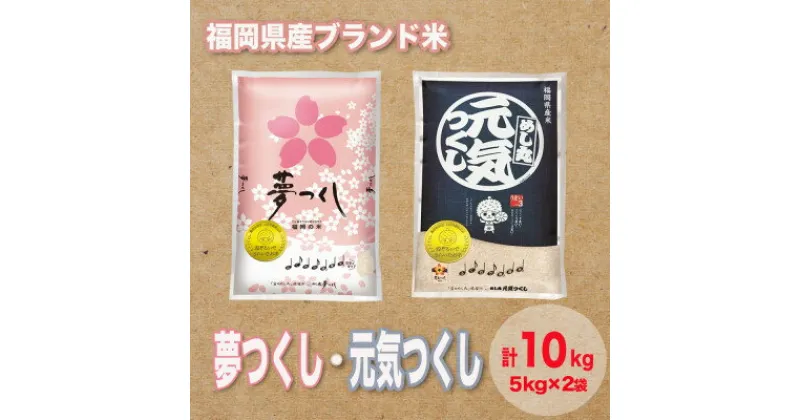 【ふるさと納税】福岡県産ブランド米セット(合計10kg)【1411256】