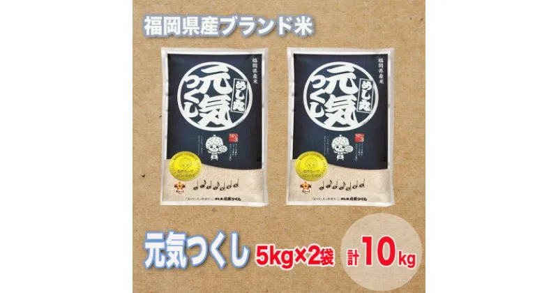 【ふるさと納税】福岡県産ブランド米元気つくし(合計10kg)【1411439】