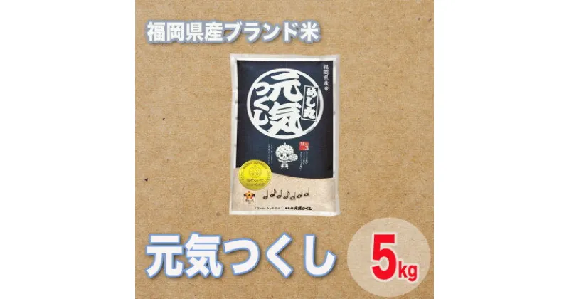 【ふるさと納税】福岡県産ブランド米元気つくし5kg【1411443】