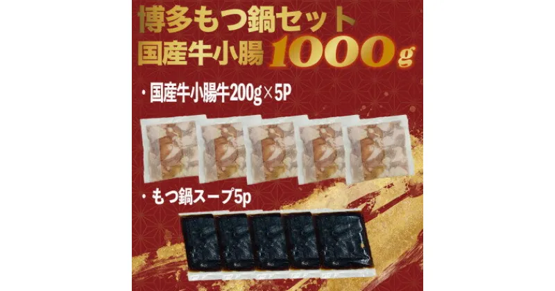 【ふるさと納税】【数量限定】国産牛もつ鍋セット1000g　醤油味【配送不可地域：離島】【1438395】