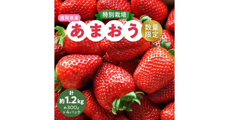 【ふるさと納税】【数量限定】特別栽培あまおう約300g×4パック(約1,200g)【2024年12月より順次発送】_ いちご イチゴ 苺 あまおう 果物 フルーツ くだもの ふるーつ 青果 果実 甘い 大粒 大きい 旬 専門店 希少 品種 冷蔵 ギフト 贈答 【配送不可地域：離島】【1445836】