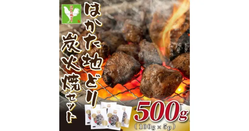 【ふるさと納税】はかた地どり炭火焼セット500g(100g×5p)【配送不可地域：離島】【1444248】