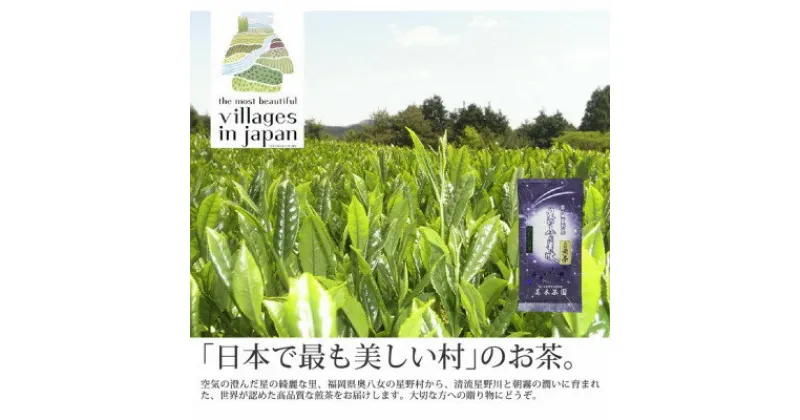 【ふるさと納税】奥八女星野村 深蒸し高級煎茶(深蒸し茶)100g×1袋【1463197】