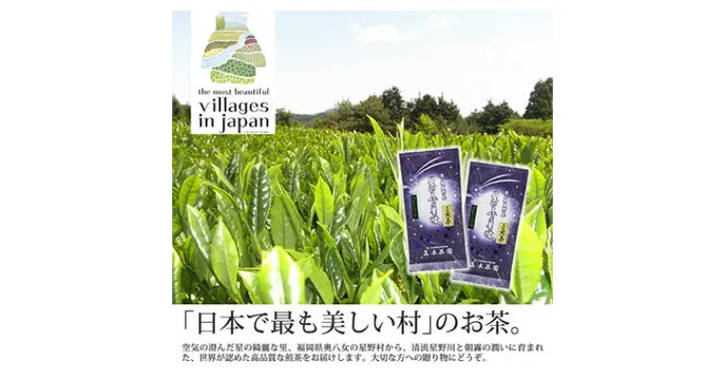 【ふるさと納税】【毎月定期便】奥八女星野村 深蒸し高級煎茶(深蒸し茶)100g×2袋 全6回【4008834】