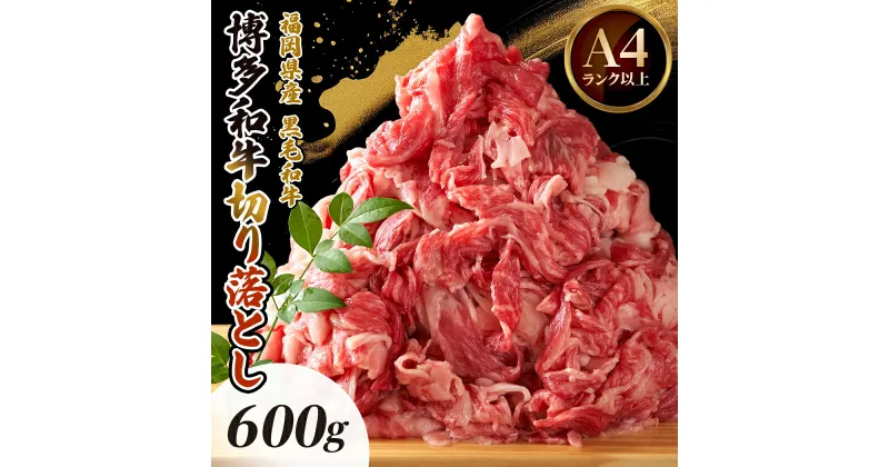 【ふるさと納税】博多和牛切り落とし　600g_ 赤身 バラ 肩 国産牛 お肉 牛肉 切落し 冷凍 送料無料 黒毛和牛 国産 九州産 福岡県産 【配送不可地域：離島】【1514638】