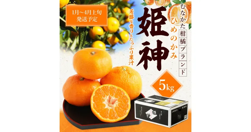 【ふるさと納税】旬のミカンをお届け！JAむなかた柑橘ブランド「姫の神」5kg 甘くておいしいみかん【2025年1月〜4月上旬発送】_HA0280 送料無料糖度・爽やかさ・ジューシー 三女神の姫神 ブランド姫神（ひめのかみ）