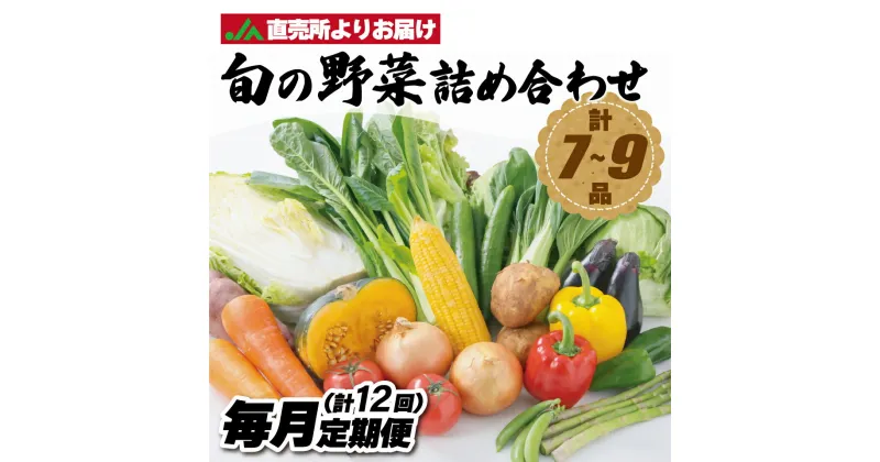 【ふるさと納税】【毎月お届け】むなかた旬のお任せセット（野菜）7～9品【JAほたるの里】_HB0173 送料無料新鮮 季節 美味しい 健康 直送 採れたて フレッシュ お楽しみ