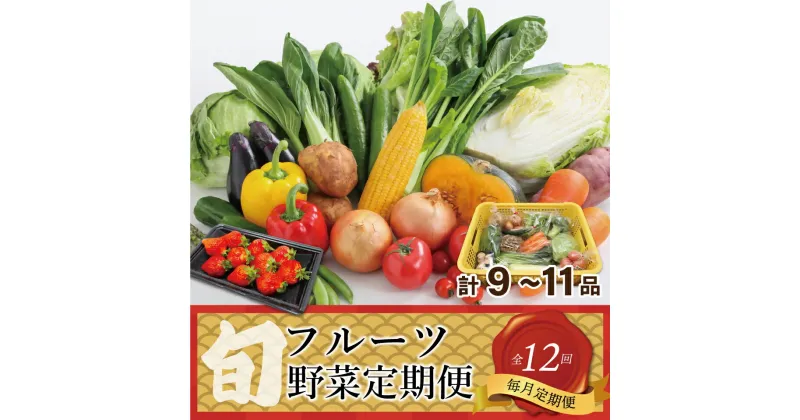 【ふるさと納税】【毎月お届け】むなかた旬のお任せセット（野菜・フルーツ）9～11品【JAほたるの里】_HB0175 送料無料新鮮 季節 美味しい 健康 直送 採れたて フレッシュ お楽しみ