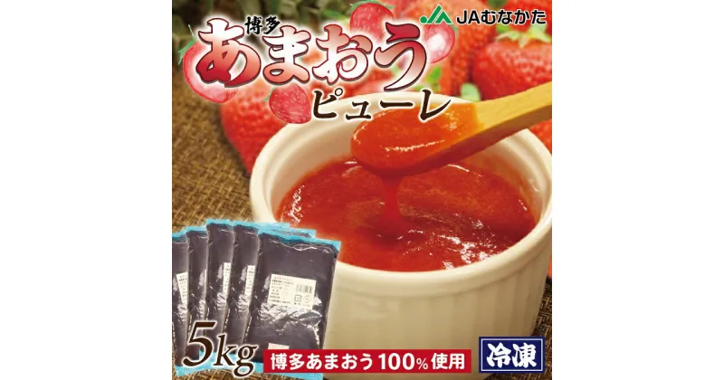 【ふるさと納税】冷凍「博多あまおうピューレ」1kg×5袋【JAほたるの里】_HA1046　送料無料博多あまおう あかい・まるい・おおきい・うまい 100％のピューレ