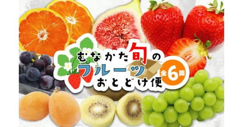 【ふるさと納税】【定期便/年6回】むなかた旬のフルーツ6回定期便【ほたるの里】_HB0090 送料無料