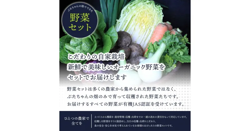 【ふるさと納税】【定期便/年12回/毎月お届け】有機JAS認証 旬の野菜セット 8品【ぶたちゃんの畑】_HB0162 送料無料 新鮮 お野菜 毎月 安心 安全 楽しみ