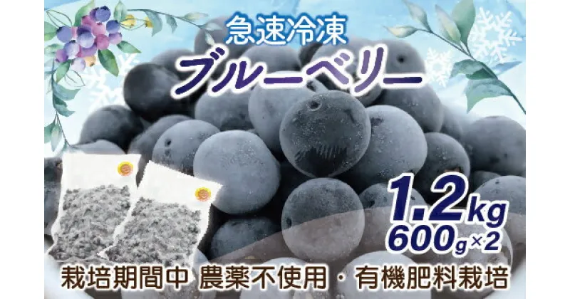 【ふるさと納税】有機栽培・栽培期間中農薬不使用！急速冷凍ブルーベリー 1.2kg 【JAほたるの里】_HA1517 送料無料果物 フルーツ 朝食 ヨーグルト スムージー 目にいい 健康 美味しい おやつ