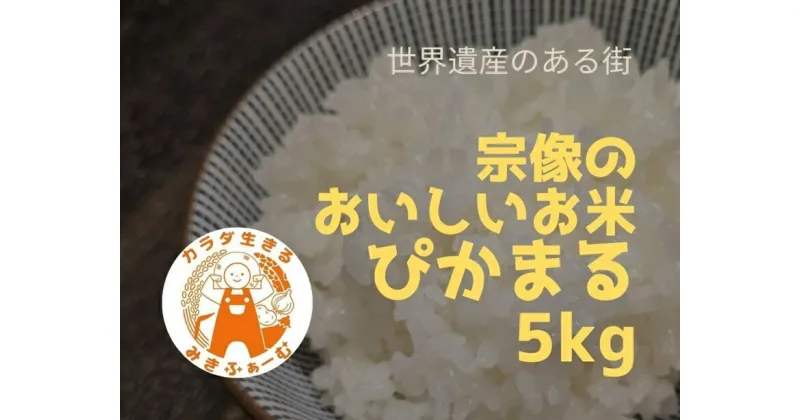 【ふるさと納税】むなかた産 米 ぴかまる 5kg【みきふぁーむ】_HA1543 送料無料ぴかまる 宗像のおいしいお米 5kg 福岡県 みきふぁーむ 低アミロース 粘り強い 冷めても美味い