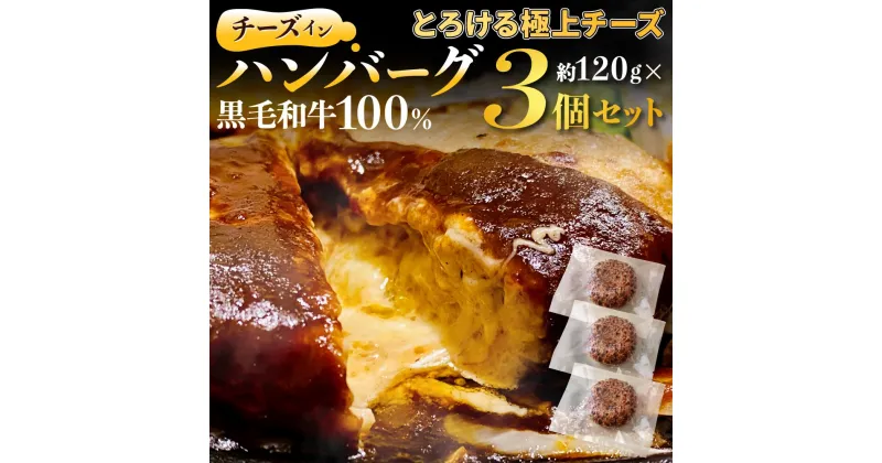 【ふるさと納税】黒毛和牛100%チーズインハンバーグ(約120g×3Pセット)【FLOWER】_HA1547送料無料時短 お弁当 アレンジ 家族 ジューシー