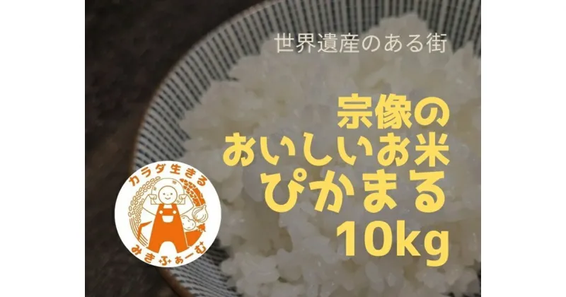 【ふるさと納税】【定期便/毎月お届け/全6回】むなかた産 米 ぴかまる 10kg【みきふぁーむ】_HB0170送料無料低アミロース米 粘りが強い 冷めても美味しい