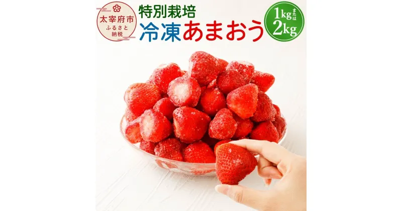 【ふるさと納税】【予約】＜選べる 容量＞【特別栽培】冷凍 あまおう 1kg／2kg 【2025年2月上旬より発送開始】うるう農園 いちご イチゴ 苺 フルーツ 果物 九州産 福岡県産 太宰府市 送料無料