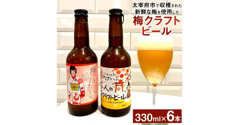 【ふるさと納税】梅クラフトビール ビール お酒 酒 国産 梅 クラフトビール 地ビール さっぱり フルーティー 330ml×6本 太宰府市 送料無料