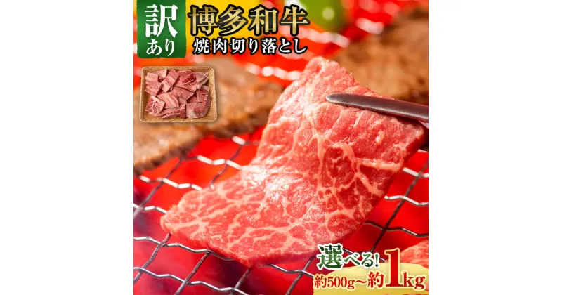 【ふるさと納税】＜選べる容量＞訳あり！博多和牛 焼肉 切り落とし 合計約1kg または 約500g 1パック約500g 国産 九州産 福岡県産 黒毛和牛 肩ロースまたはバラ お取り寄せ 牛肉 切落し 切り落し 焼き肉 BBQ お肉 冷凍 送料無料