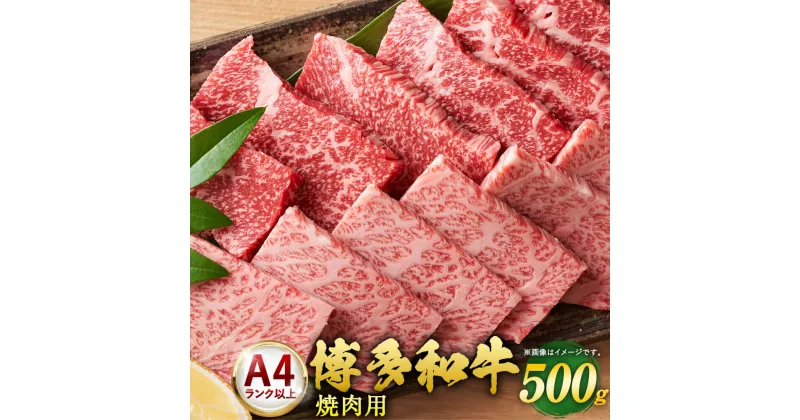 【ふるさと納税】博多和牛 焼肉用 500g×1 A4以上 福岡県産 九州産 国産 黒毛和牛 牛肉 和牛 BBQ バーベキュー お肉 お取り寄せ グルメ 冷凍 送料無料