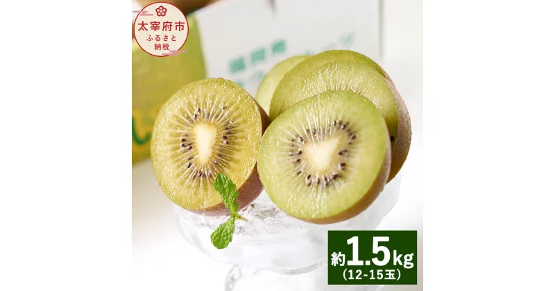 【ふるさと納税】【予約】福岡県産 ブランドキウイ 甘うぃ 約1.5kg 12-15玉 【2024年10月下旬～11月下旬発送予定】 キウイフルーツ 果物 くだもの フルーツ デザート スイーツ 送料無料