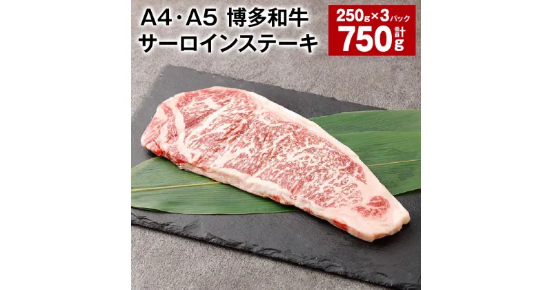 【ふるさと納税】【A4・A5】博多和牛 サーロインステーキ 250g×3パック 計750g 黒毛和牛 和牛 牛肉 お肉 肉 冷凍 国産 九州 福岡県産 福岡県 太宰府市 送料無料