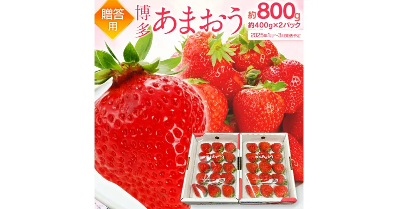 【ふるさと納税】先行予約 あまおう 合計約800g 約400g×2パック（1パックあたり、9玉〜18玉） 福岡県産 九州 イチゴ いちご 苺 果物 くだもの フルーツ 送料無料【2025年1月〜3月末順次発送】