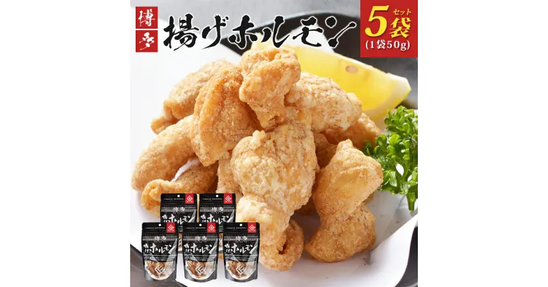 【ふるさと納税】博多揚げホルモン(5袋セット) ホルモン 国産豚 唐揚げ おつまみ 送料無料