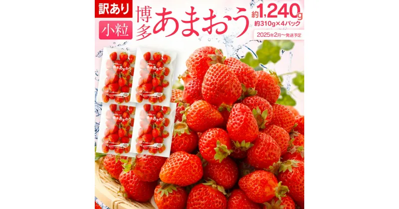 【ふるさと納税】訳あり 小粒あまおう 合計約1240g 約310g×4パック 一口サイズ ご家庭用 福岡県産 九州 イチゴ いちご 苺 果物 くだもの フルーツ 送料無料 ふるさと納税 訳あり 規格外 いちご【2025年2月より順次発送予定】