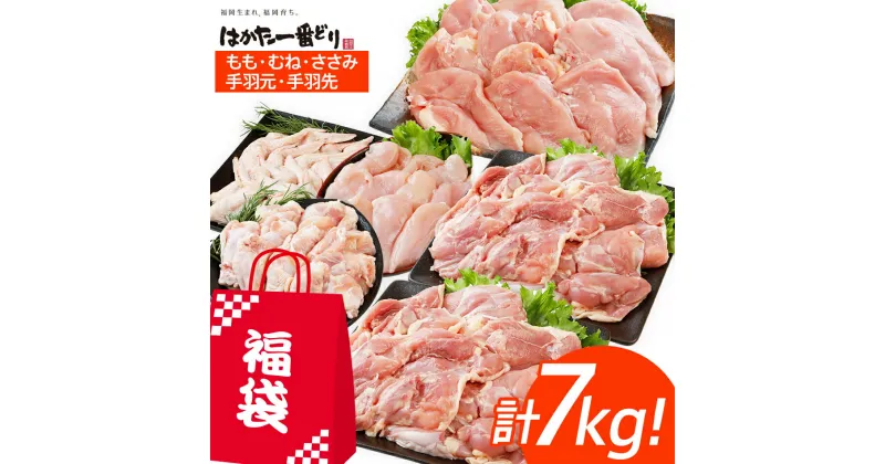 【ふるさと納税】訳あり はかた一番どり 福袋セット 計7kg 鶏肉 福袋 お取り寄せグルメ お取り寄せ 福岡 お土産 九州 福岡土産 取り寄せ グルメ 福岡県 古賀市