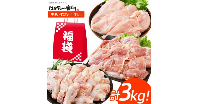 【ふるさと納税】訳あり はかた一番どり 福袋セット 計3kg 鶏肉 福袋 お取り寄せグルメ お取り寄せ 福岡 お土産 九州 福岡土産 取り寄せ グルメ 福岡県 古賀市