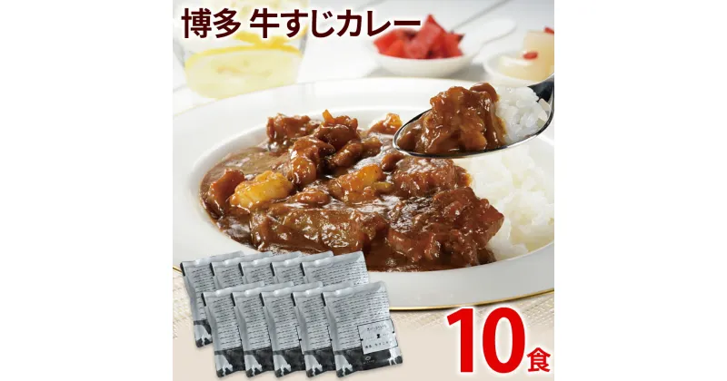 【ふるさと納税】牛すじカレー 10パック レトルト食品 中辛味 コラーゲンたっぷり 国産 牛スジ 10食 非常食 備蓄 防災 保存食