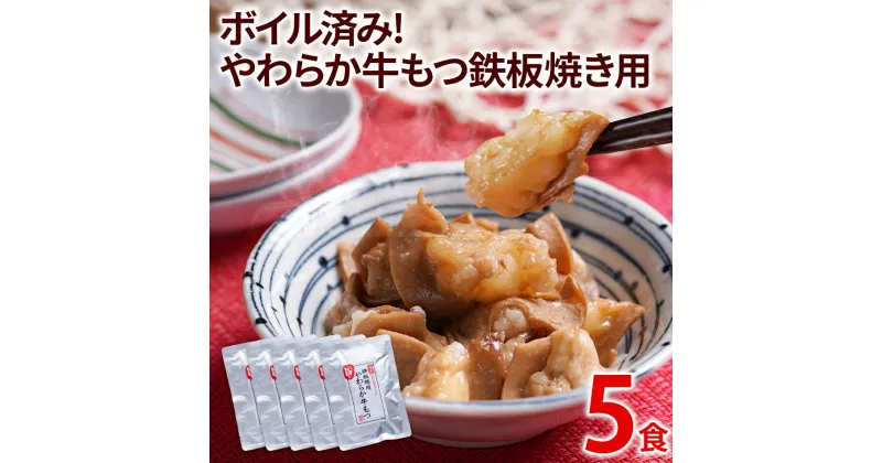 【ふるさと納税】ボイル済み！やわらか牛もつ鉄板焼き用 5パック 九州 お取り寄せ 非常食 備蓄 防災 保存食 常温保存 レトルト食品 煮込み 5食