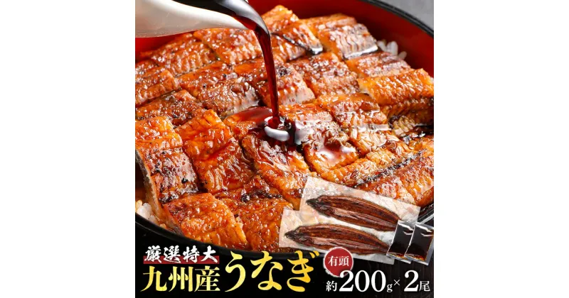 【ふるさと納税】九州産うなぎ2尾 国産 厳選特大 有頭 200g 2尾 蒲焼き 肉厚 ジューシー ふっくら 別添えタレ付き 九州 グルメ お取り寄せ