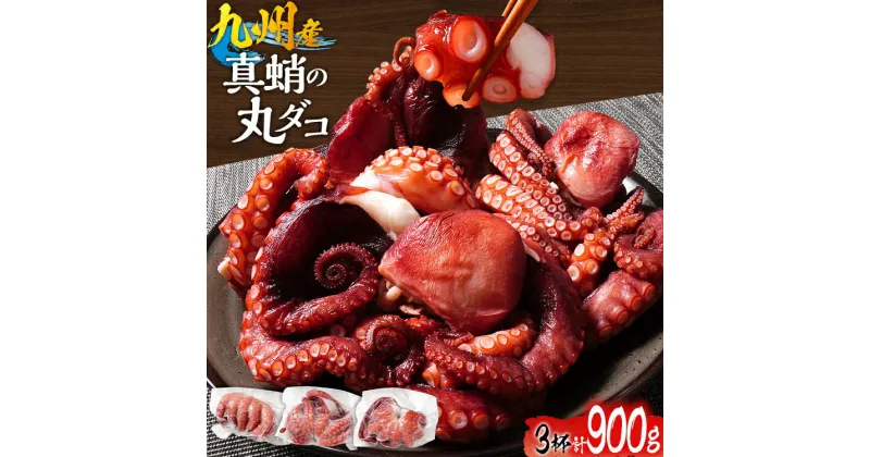 【ふるさと納税】九州真蛸の丸ダコ 3パック 900g たこ 真蛸 セット おつまみ 海鮮 タコ料理 蛸 飯のおかず おつまみ 九州産 コリコリ ぷりぷり 福岡県 福岡 九州 グルメ お取り寄せ