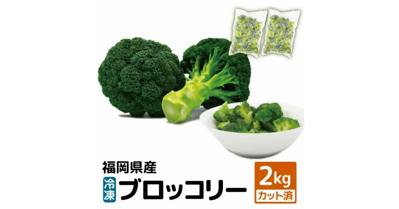 【ふるさと納税】【福岡県産】 冷凍 ブロッコリー 2kg （1kg×2袋）冷凍ブロッコリー 冷凍野菜 冷凍やさい 冷凍カット野菜 カット野菜 野菜 やさい 冷凍 送料無料 [F2257]