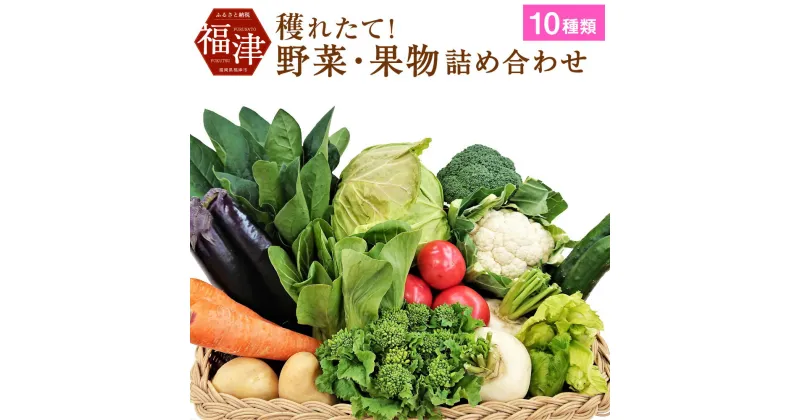 【ふるさと納税】穫れたて！ 野菜・果物詰め合わせ 10品目 あんずの里 野菜 果物 フルーツ セット 詰め合わせ 春 旬 福岡県産 九州産 国産 送料無料 [F0042]