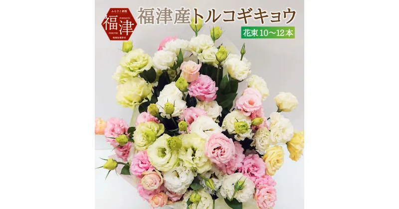 【ふるさと納税】新鮮 お花 福津産 トルコギキョウ 通年発送 あんずの里 10〜12本 花 花束 九州産 国産 旬 送料無料 生花 プレゼント ラッピング お祝い フラワーギフト 記念日 ギフト ユーストマ リシアンサス [F0045]