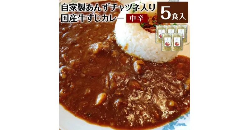 【ふるさと納税】シェフ自慢のあんずチャツネ入り国産牛すじカレー【中辛】5食 230g×5袋 辛みスパイス5袋 自家製カレー スパイス お店の味 冷凍 送料無料 [F4483]