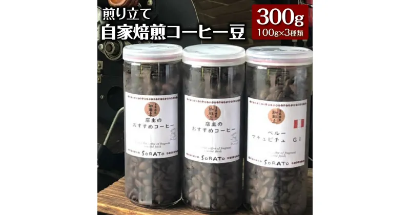 【ふるさと納税】煎り立て自家焙煎コーヒー豆（100g×3種類）マチュピチュ ペルー産ホンジュラス グアテマラ コスタリカ 珈琲 詰め合わせ セット 送料無料 [F4477]