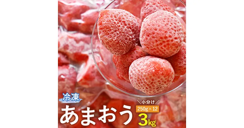 【ふるさと納税】冷凍 あまおう 小分け パック 3kg 250g×12 摘みたて 瞬間冷凍 いちご イチゴ 苺 冷凍フルーツ 冷凍果物 フルーツ 国産 福岡県 福津市 送料無料【2024年4月より順次発送予定】 [F0022]