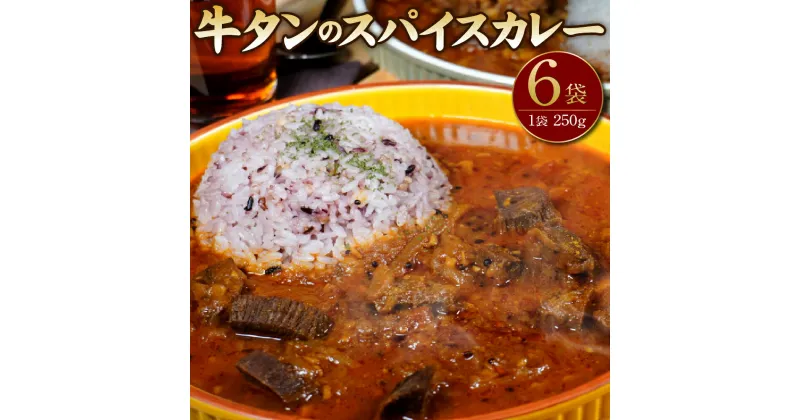 【ふるさと納税】【本格スパイス】牛タンのスパイスカレー たっぷり 6食分 250g×6パック 6袋 牛タンカレー 牛タン スパイスカレー カレー カレーライス 中辛 レトルト 温めるだけ 簡単 食品 冷凍 福津市 送料無料［F4468］