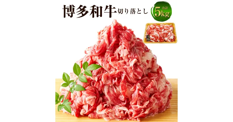 【ふるさと納税】博多和牛 切り落とし 5kg（500g×10パック）黒毛和牛 牛肉 肉 お肉 国産牛 国産牛肉 和牛 牛肩 肩肉 赤身 牛バラ バラ肉 料理 冷凍 お取り寄せグルメ 博多 九州 福岡県 福津市 送料無料 [F0097]