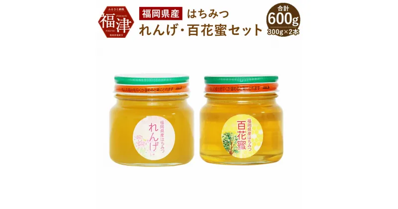 【ふるさと納税】福岡県産 はちみつ れんげ・百花蜜セット 300g×2 合計600g 2本セット 国産 非加熱 純粋 蜂蜜 食べ比べ ハチミツ 百花蜂蜜 れんげ蜂蜜 送料無料 [F2069]