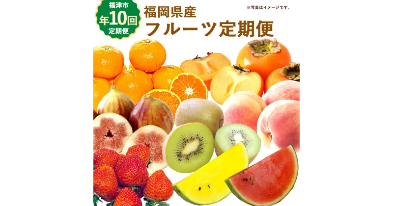 【ふるさと納税】【年10回定期便】福岡県産 旬のフルーツ定期便 【1〜2月開始】 定期便 フルーツ 果物 あまおう いちご みかん 甘夏 すいか 桃 もも いちじく 柿 キウイ 福津市 国産 送料無料 [F5261]