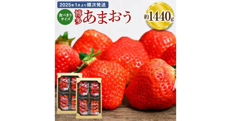 【ふるさと納税】食べきりサイズ 博多あまおう 約180g×8パック 約1440g 国産 九州 福岡県産 イチゴ いちご 苺 果物 くだもの フルーツ 予約 送料無料【2025年1月より順次発送】[F2319]